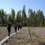 Bears trail - Group